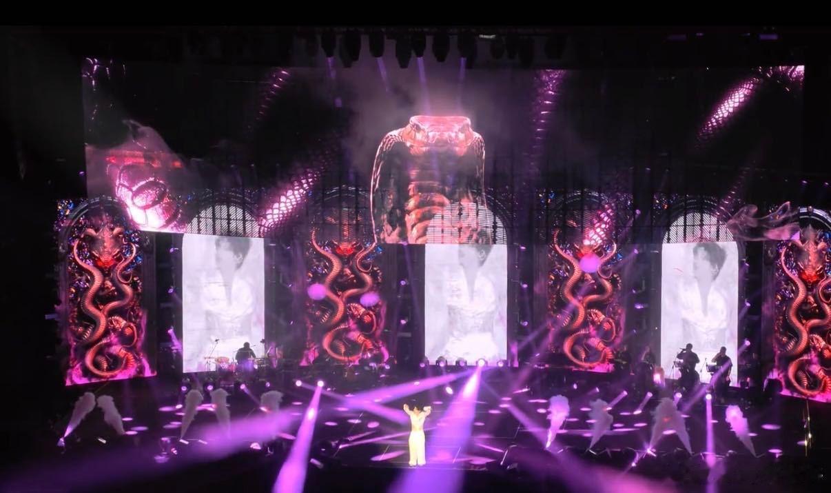 杨和苏巡演上海收官场 高光时刻定格上海！杨和苏理想国巡演收官场太燃了，舞台表现力