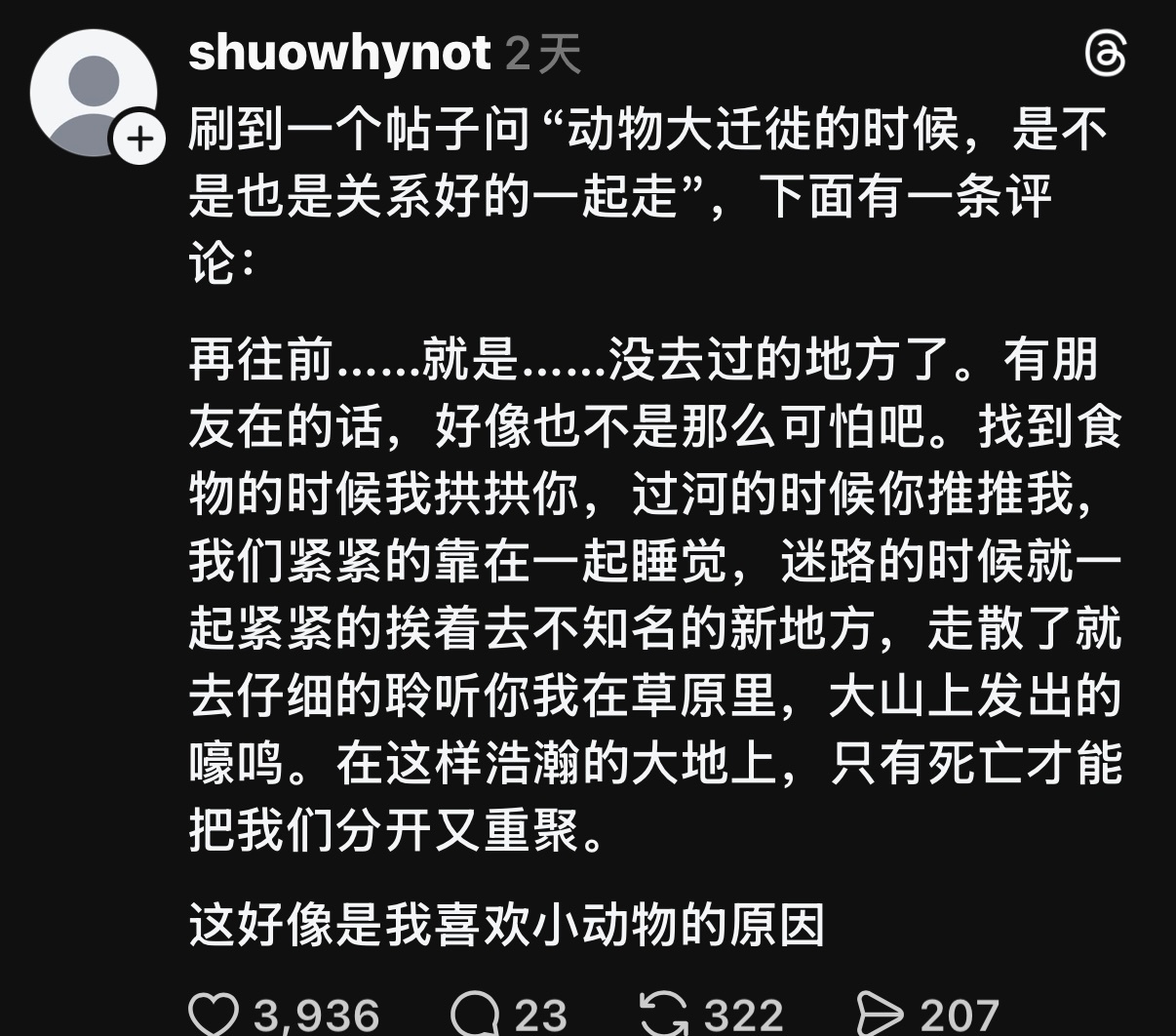 啊 想想都觉得可爱 