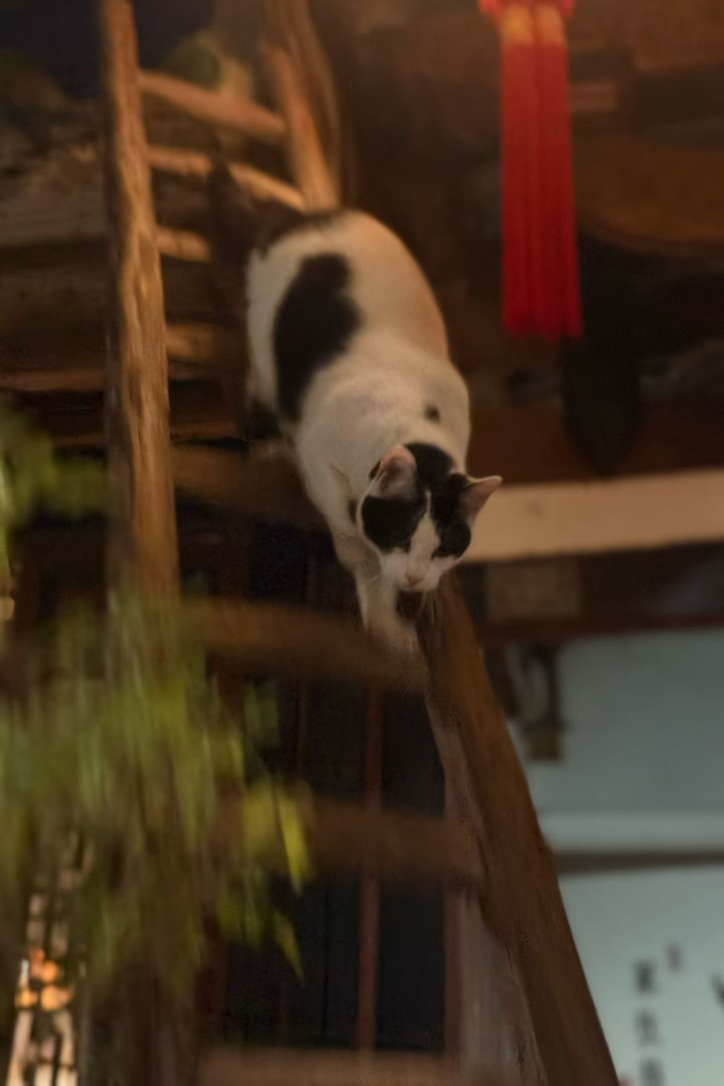 有执行力、有探索精神的人是在认同，知识是在实践的过程当中产生的。没有执行力的人，