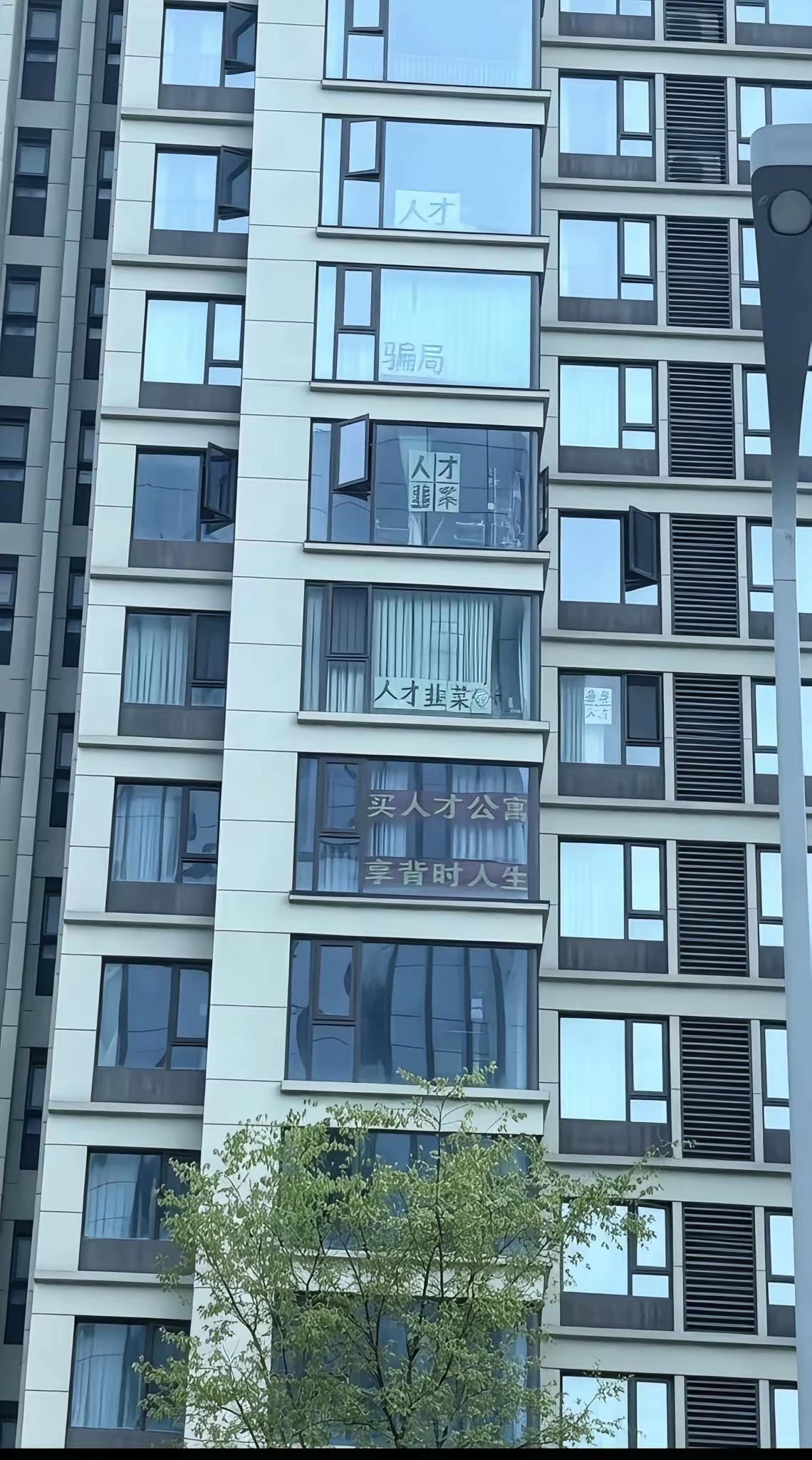 都说事出反常必有妖，你看看这个公寓，每个窗户前面不是挂着韭菜，就是挂着骗局，一个