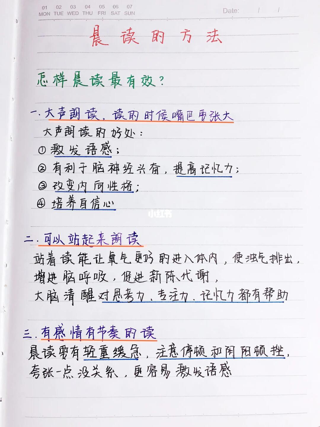 寒假坚持晨读了吗❓晨读内容读对了吗❓