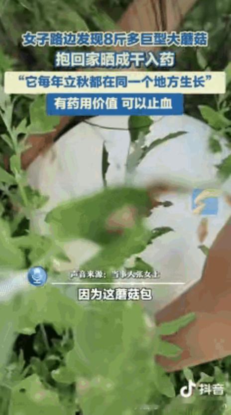 “这都是命啊！”黑龙江齐齐哈尔市，一女子在路边玩的时候，发现有颗重量高达8斤多的