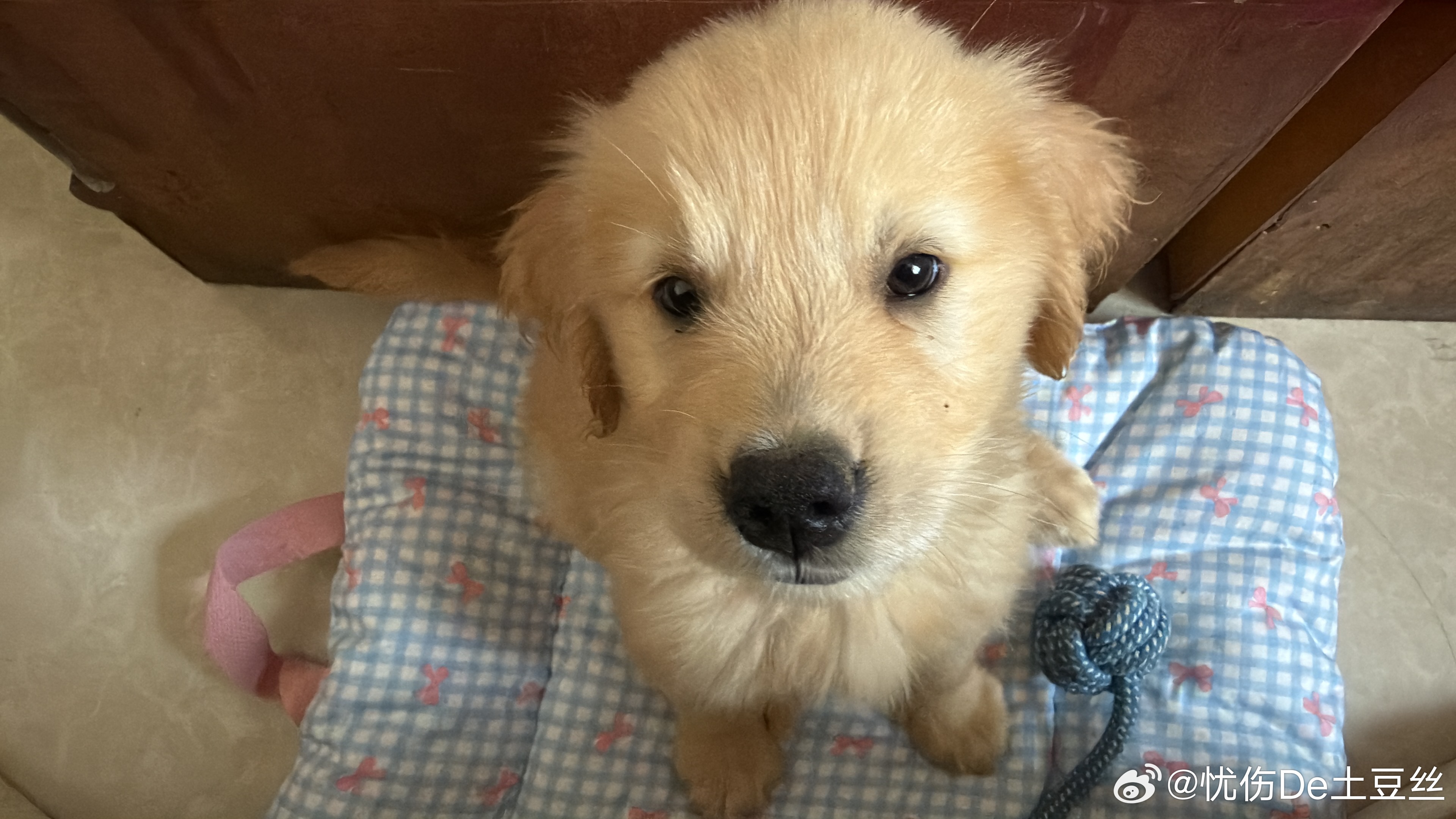 hi 
