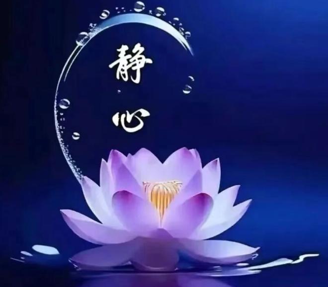 人生都是客，万事莫执着！你认同吗人生本就是一场匆匆过客，得失聚散皆是寻常，不必为