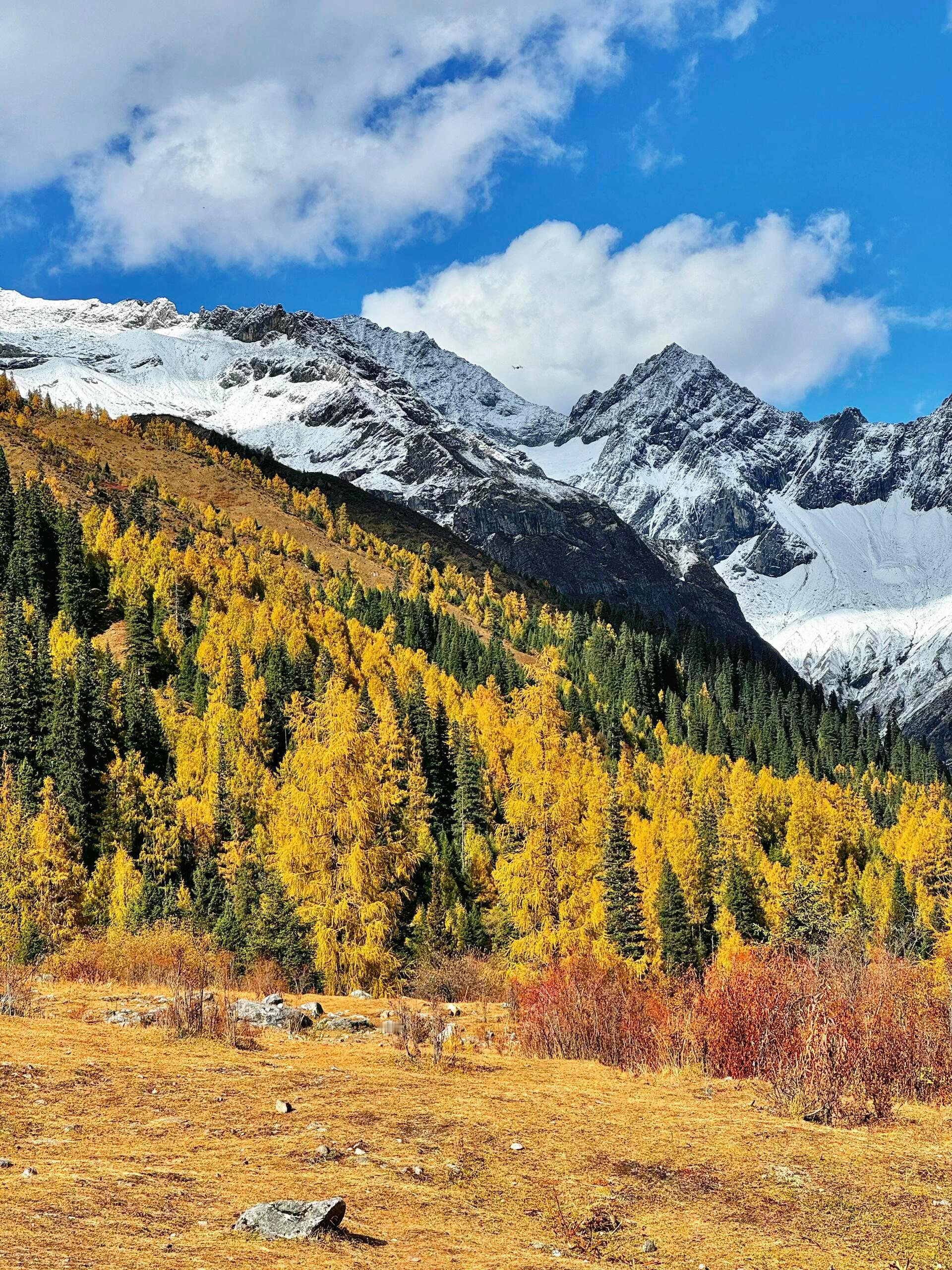 此刻的川西简直就是人间理想 