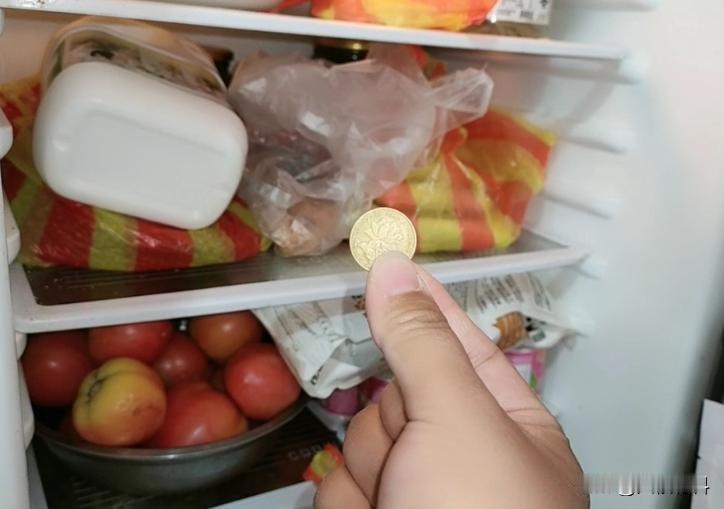为什么出远门时要在冰箱里放一枚硬币？一位50岁的阿姨告诉我，这能告诉你冰箱里的食