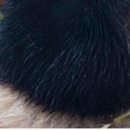 熊猫守护者 | 熊猫守护者‬ 努力做一个善良的人，做一个心态阳光的人，做一个积级