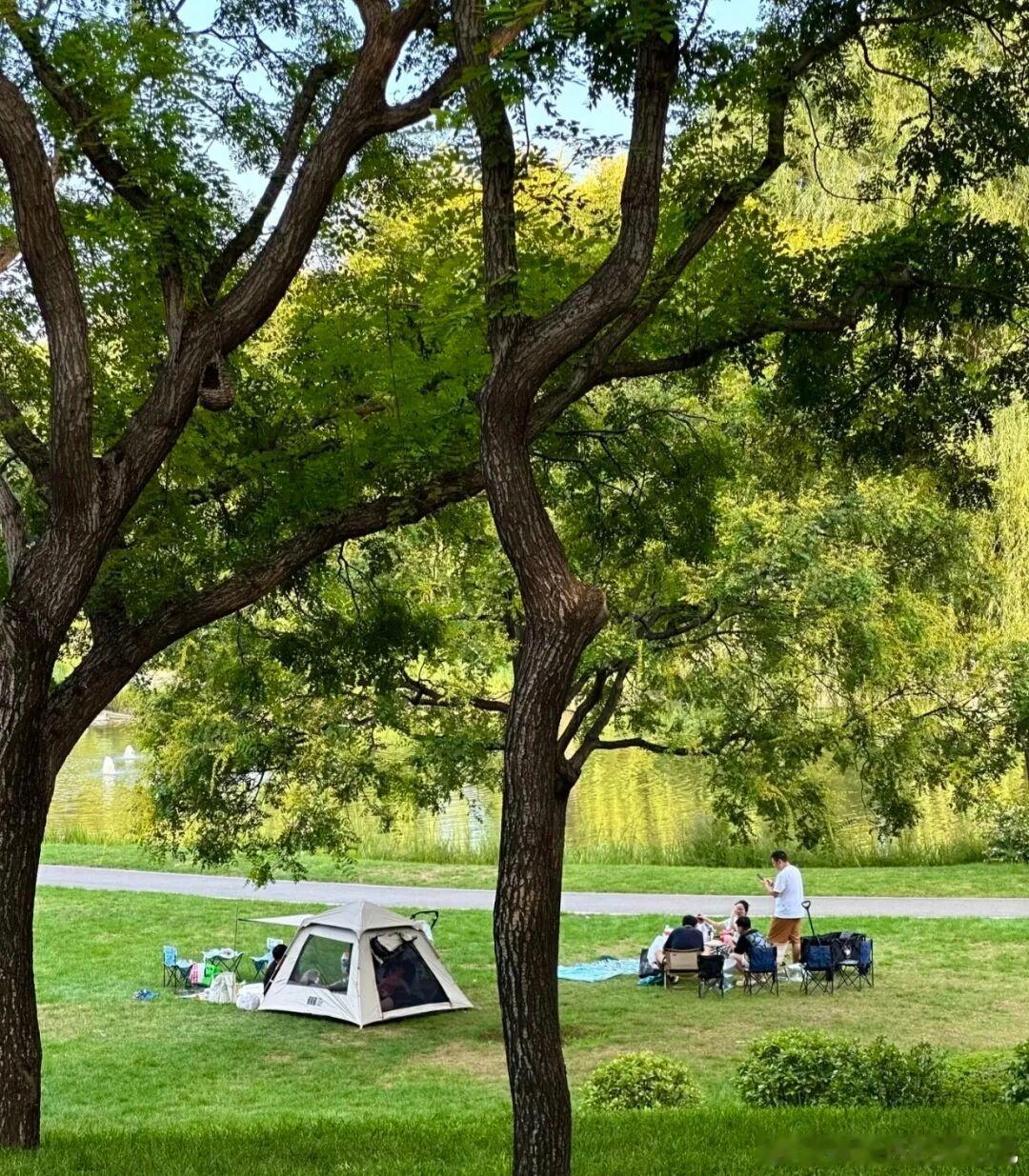 北京夏日小众散心宝地被我挖到了！朝阳四得公园真的太适合日常放空🌿藏在闹市中的静
