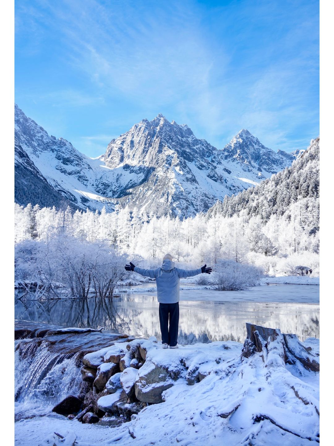 雪山下的童话世界，这是本雪橇犬应得的