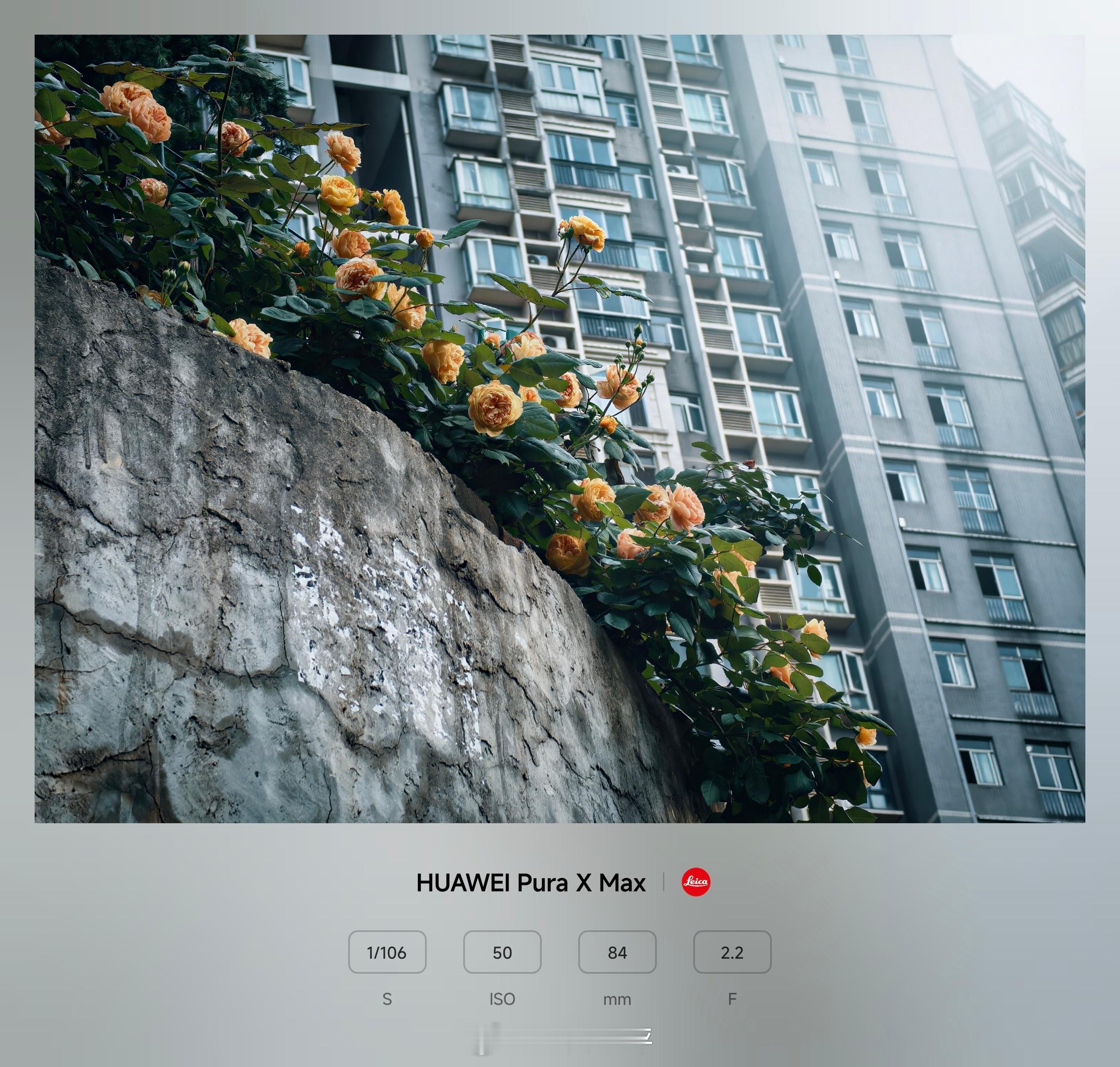 给Pura X Max换个徕卡水印