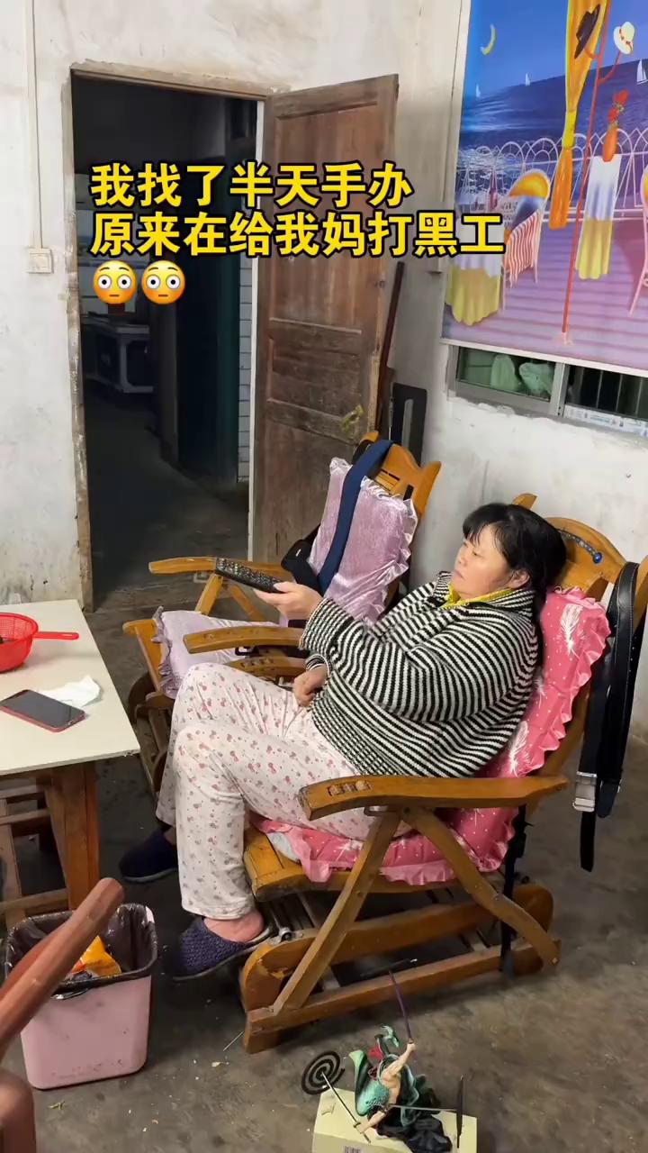 我找了半天手办，原来在给我妈打黑工。