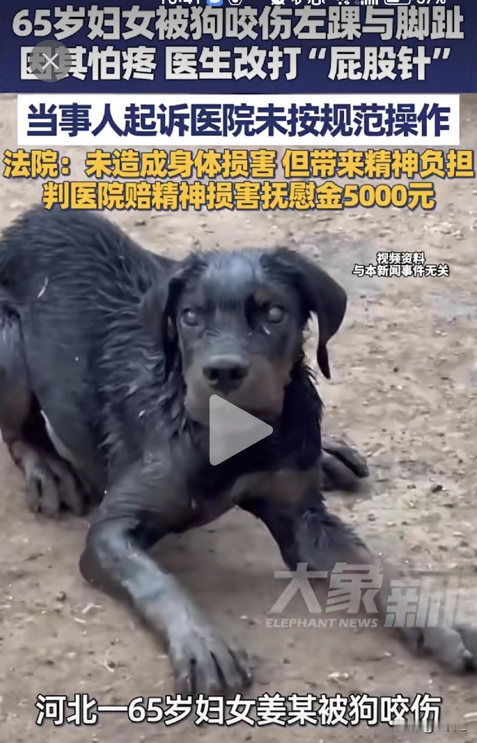65岁大妈被狗咬脚，因怕疼拒在脚上打针，医生改打“屁股针”，结果大妈以医院操作不