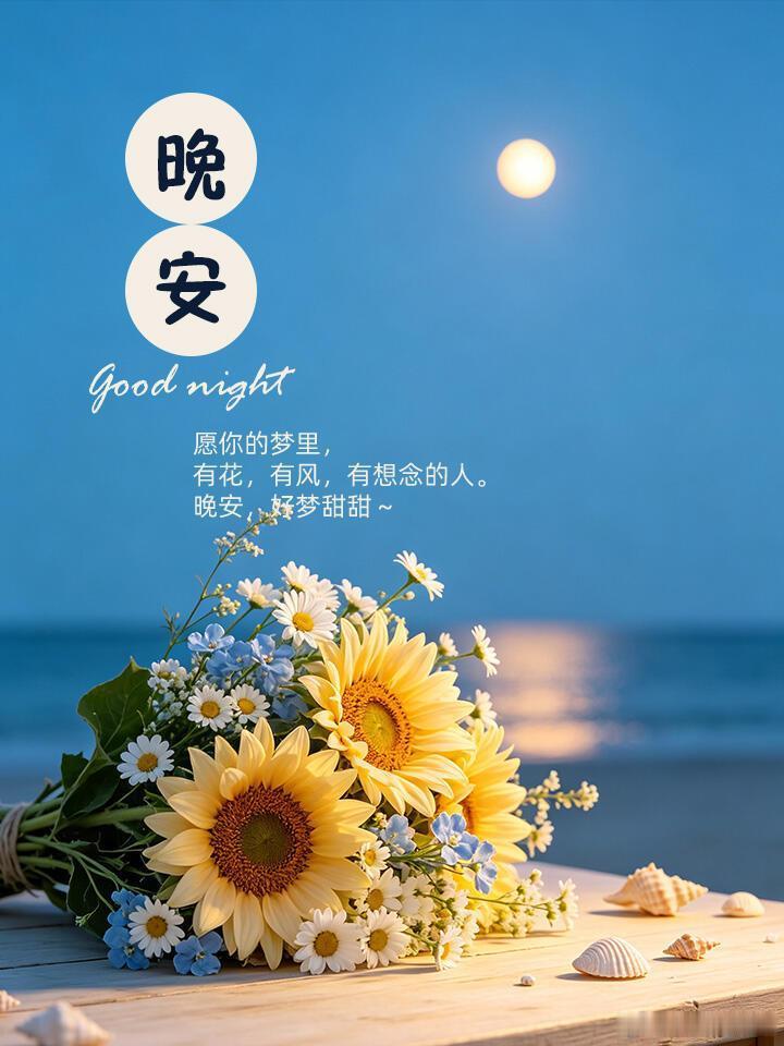 晚安 晚风轻拂长夜，抚平心底浮躁。成年人的日常，一边咬牙坚持，一边默默自愈。不必