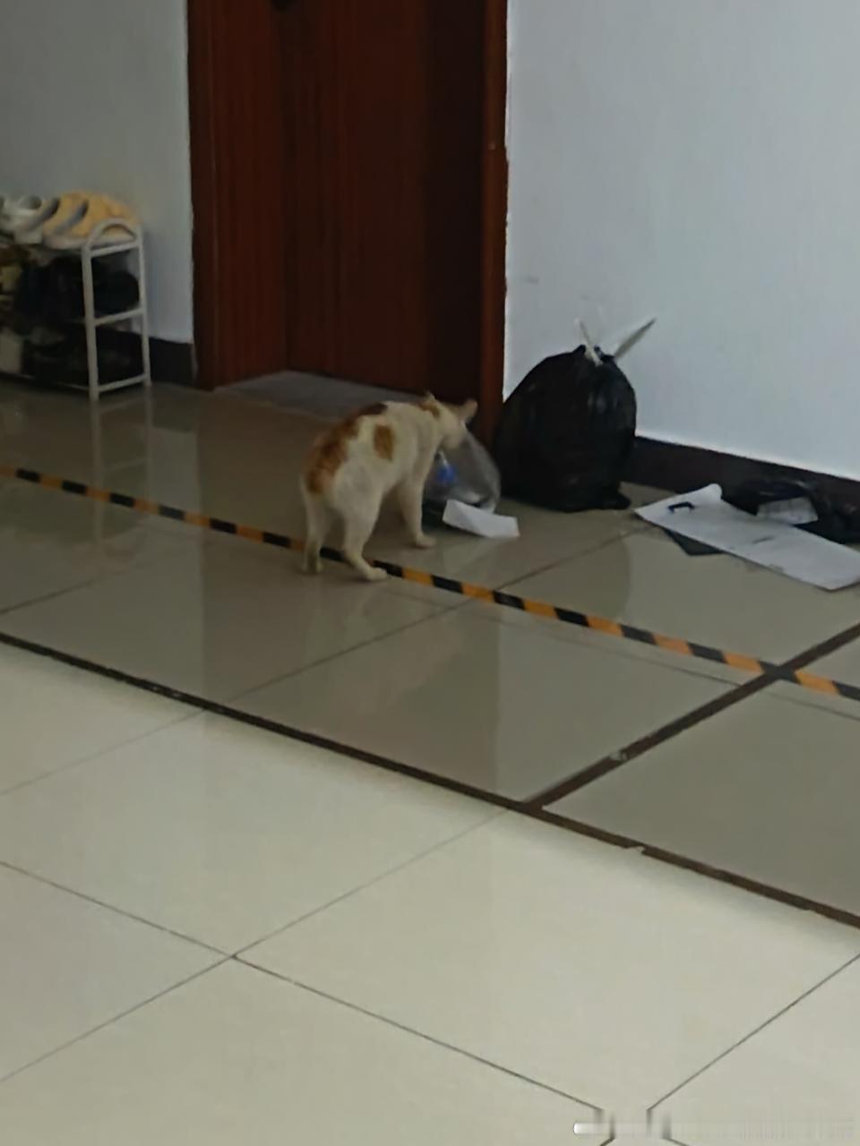 49747【心灵丑】 