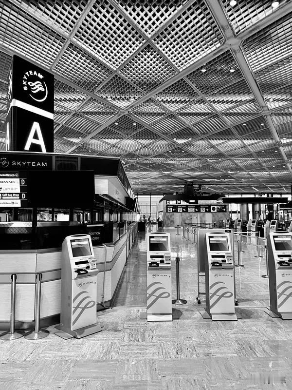 近期日本机场挤满回国的人，这场景就跟春运似的。航班管家数据显示，截至11月24日