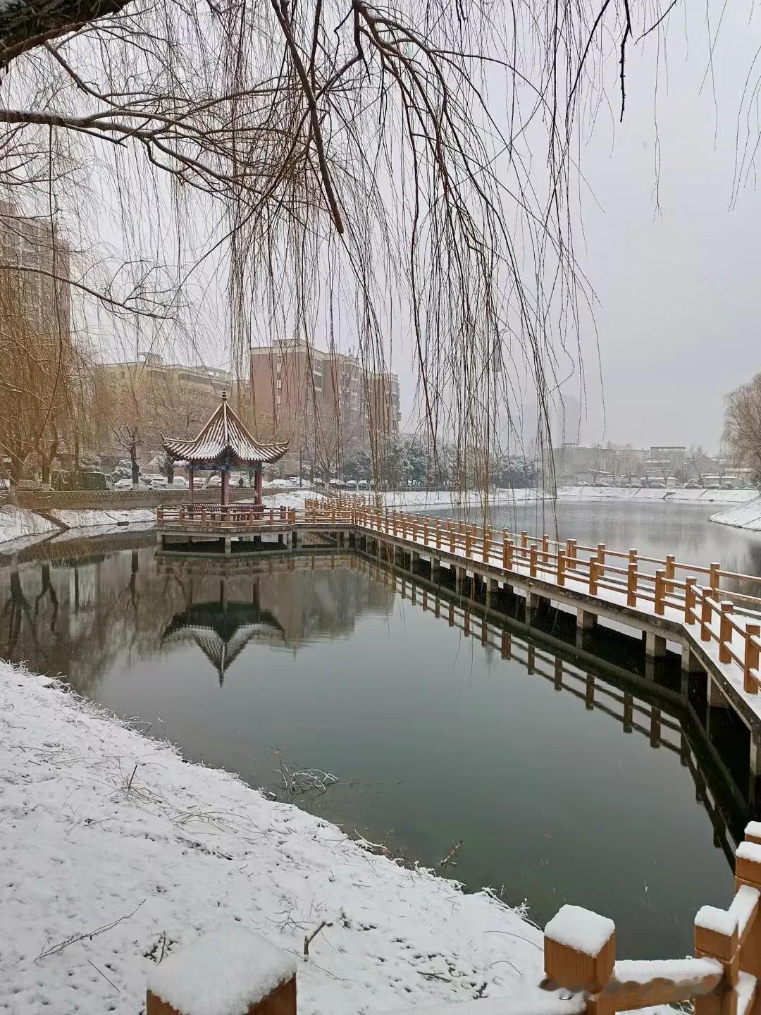 沁园春*雪

序:大年初二携爱人子女归宁，初三喜降瑞雪，甚是吉祥，写词诵之！
