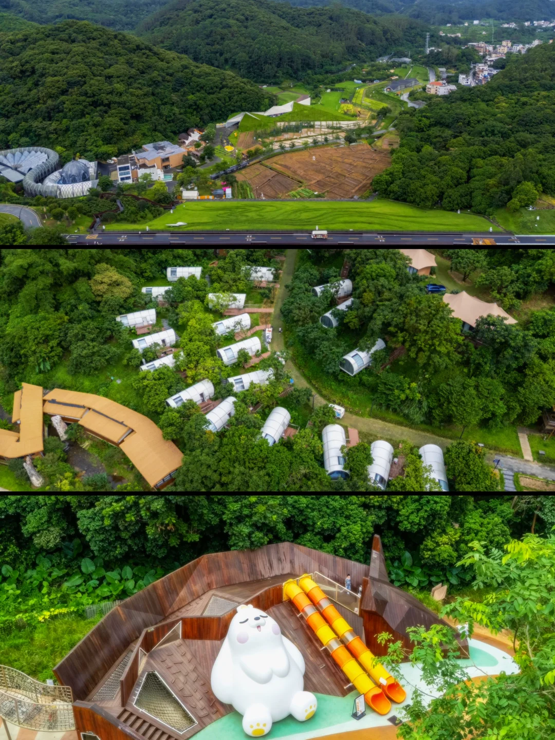 在广州躲进山野，把工作疲惫全部丢掉🌳