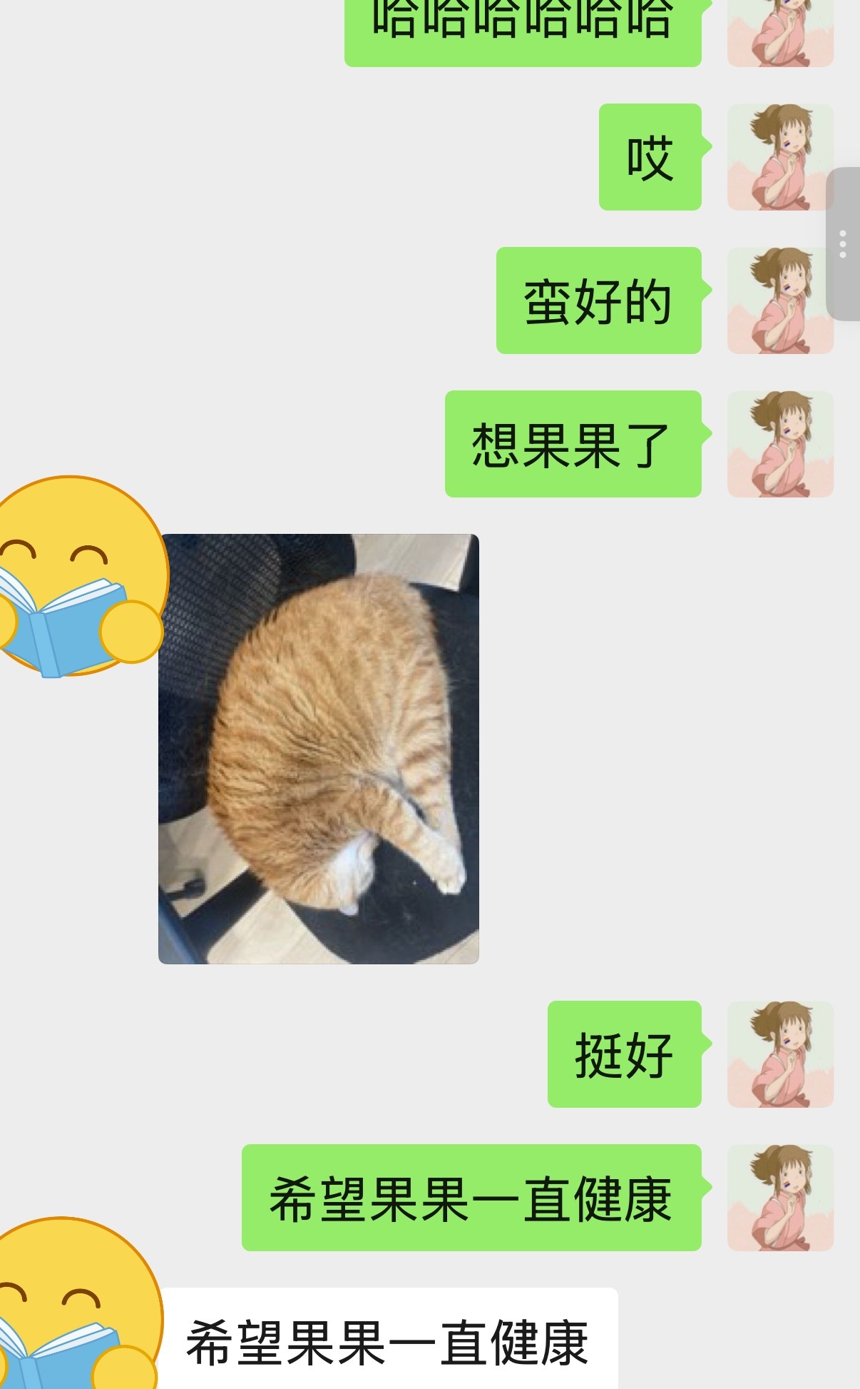 前同事来找我聊天，我离开之后一直没有人再来，公司的小猫就特别爱睡在我曾经的工位上
