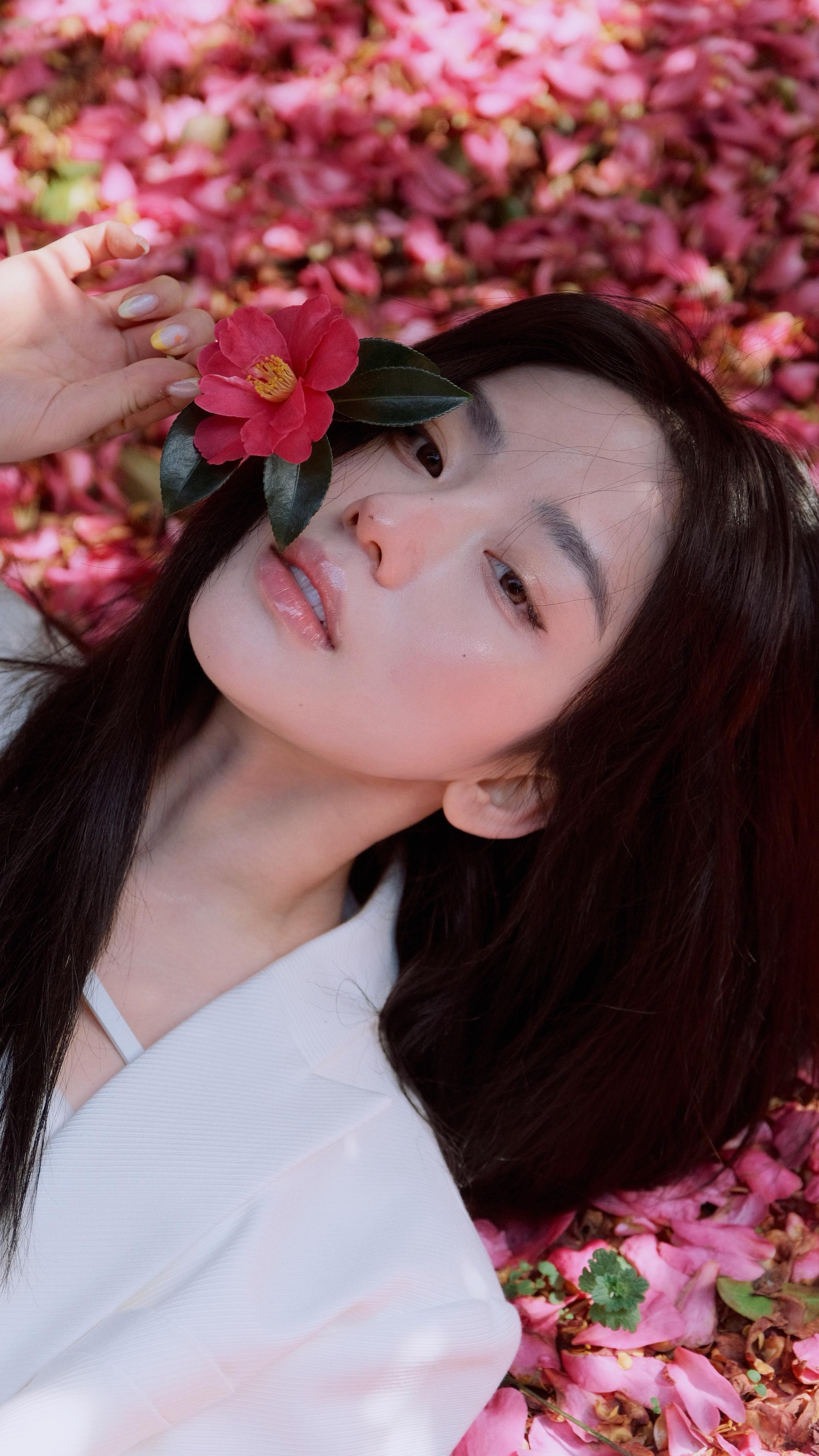 山茶花的花语🌺”理想的爱与纯真