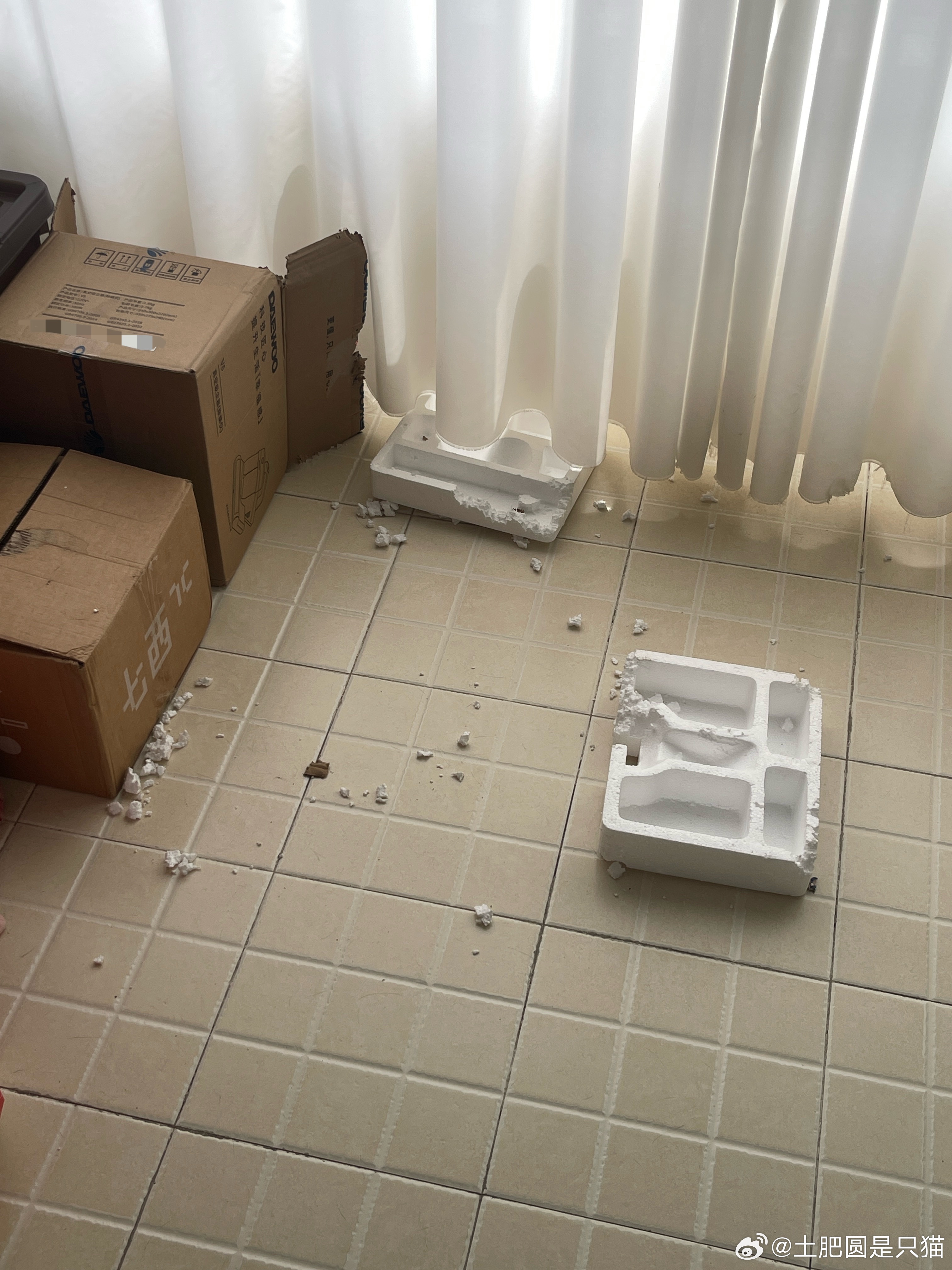 每天早晨起来都看到阳台一片狼藉，然后我淡淡整理好，第二天早晨再重现狼藉场景，我再