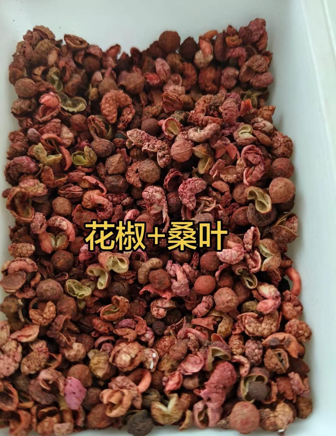阿尔忒弥斯2号发射任务圆满成功，四名宇航员启程向着月球前进。距离上一次载人绕月飞
