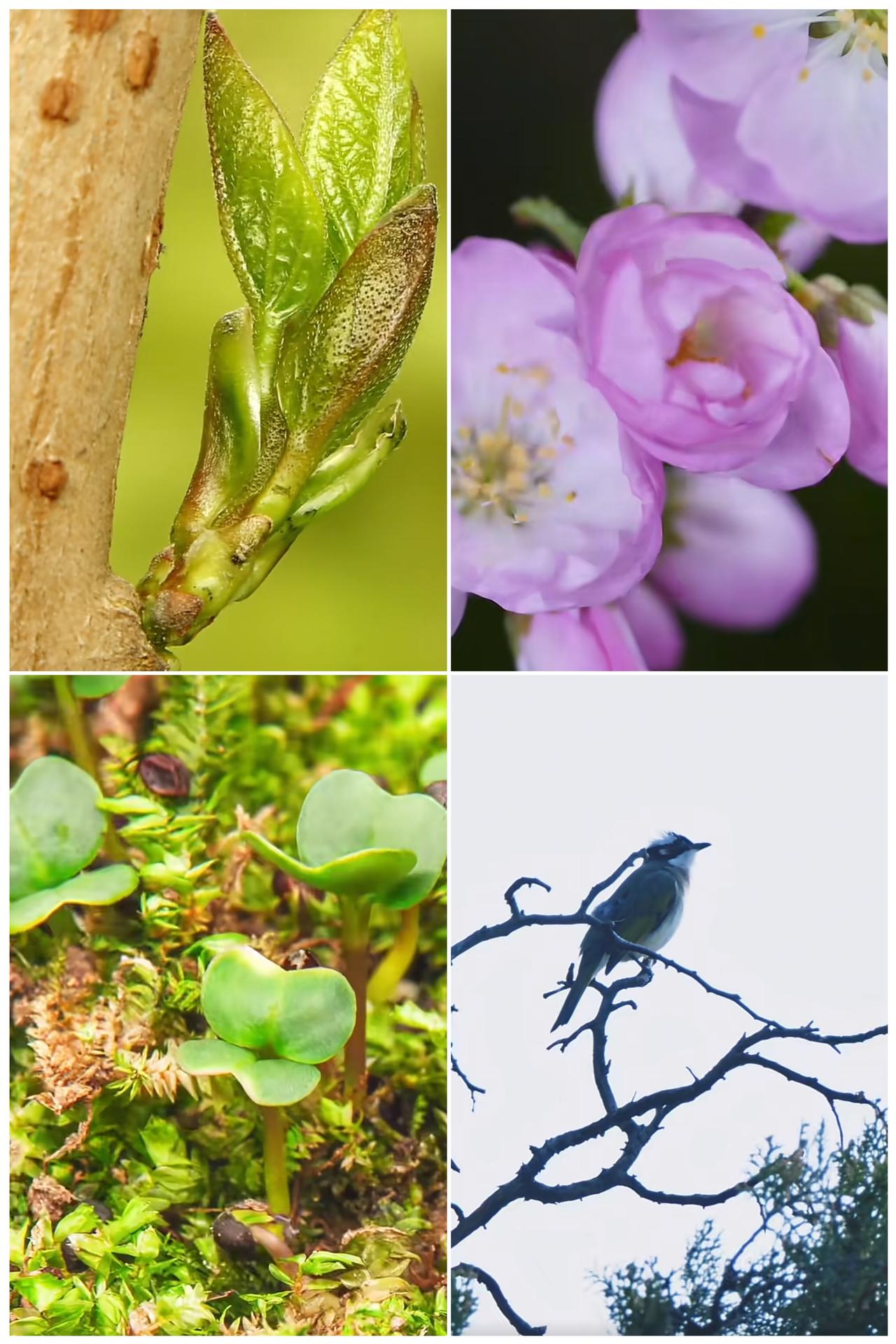 藏在古诗中的“谷雨”，你知道多少？
雨润山河，且惜春光，今日谷雨。