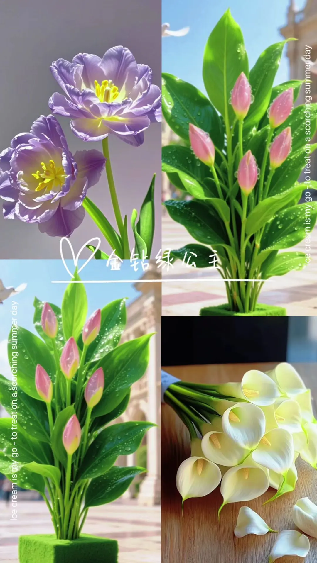 被绿植治愈的时光，总是格外温柔。金钻绿公主叶片如翠玉舒展，四季常青。它...