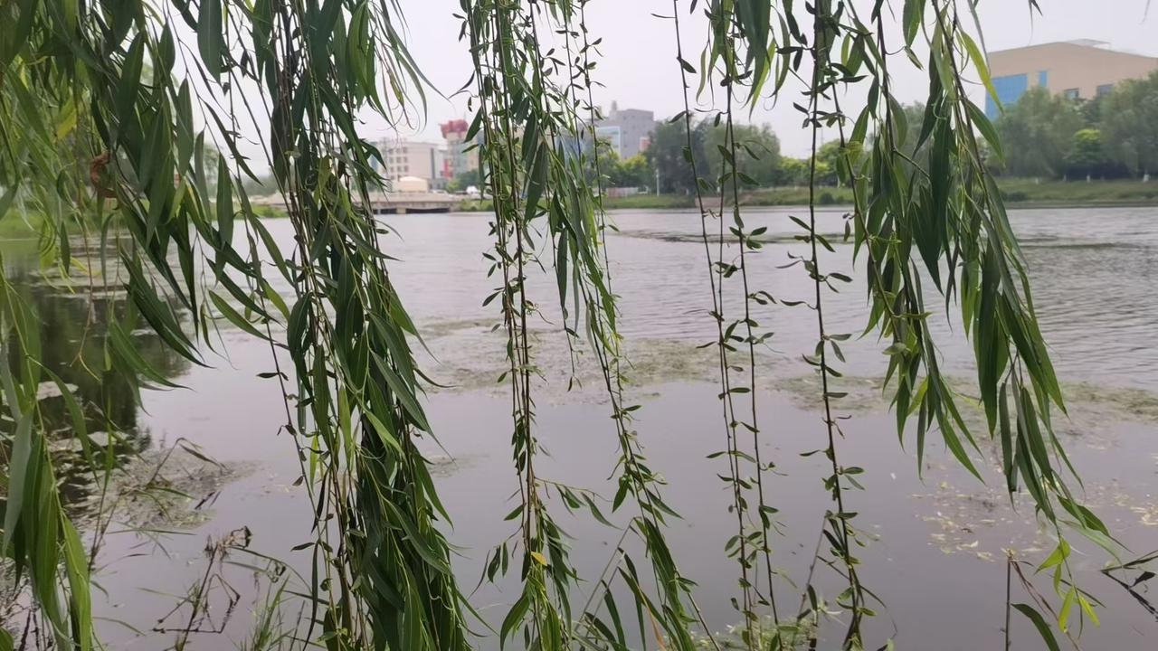 柔练慢练不是松懈着练呢，
身体含着劲，裹着劲呢，
看着不怎么使劲，
身体内里绞着