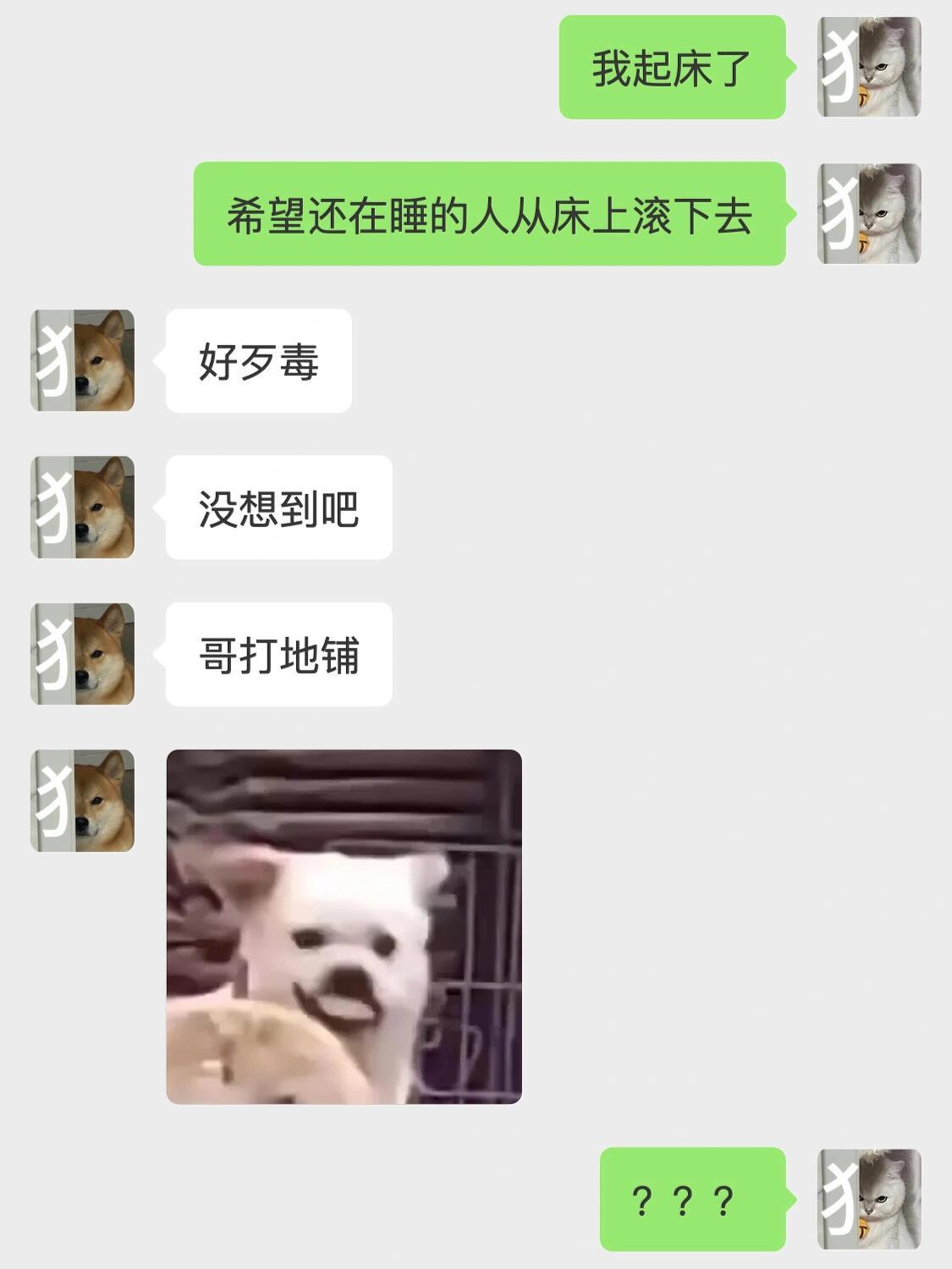 有一个很会接梗的男朋友是种什么体验…… ​​​
