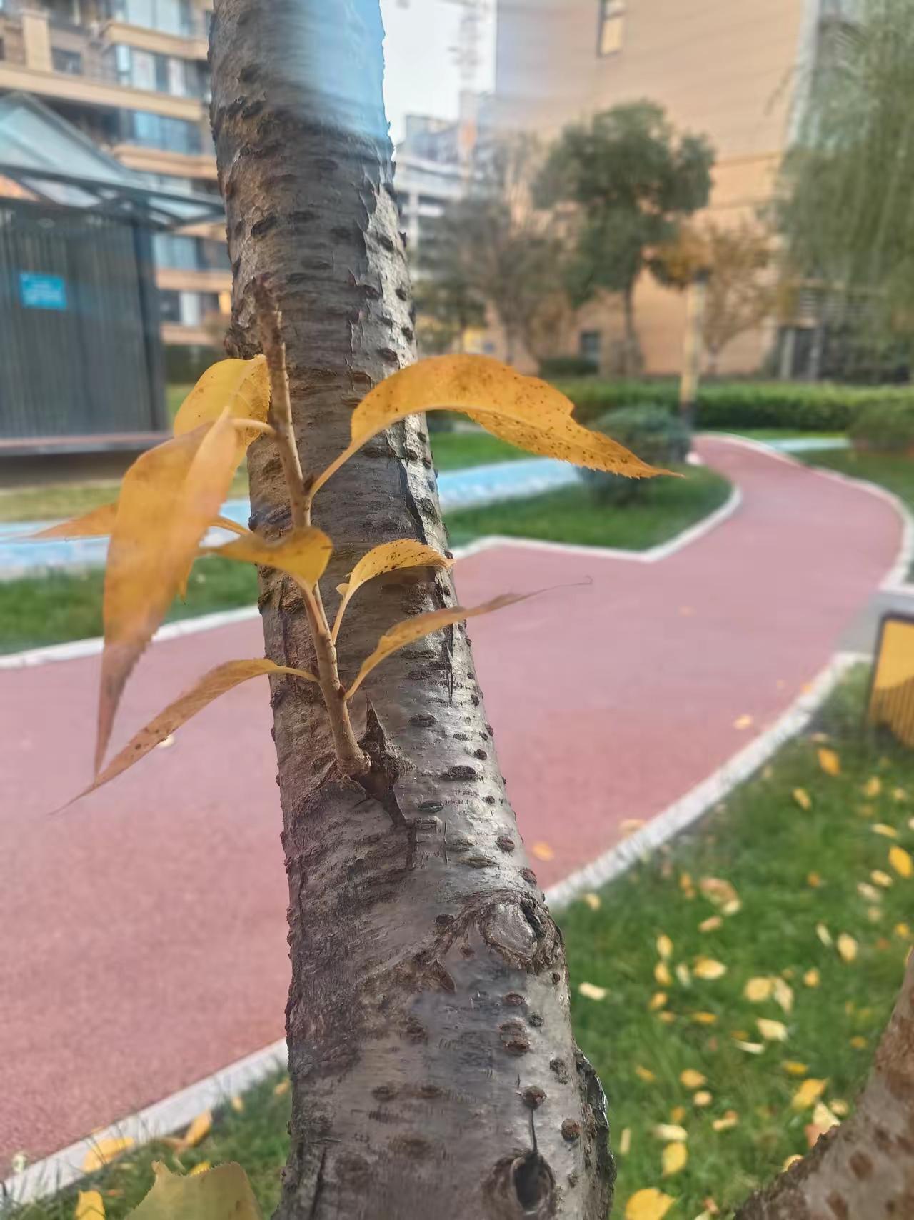 真够难得？
咋觉得如此处理好难受的感觉呢？事情是这样：老人家手里有40万元的存款