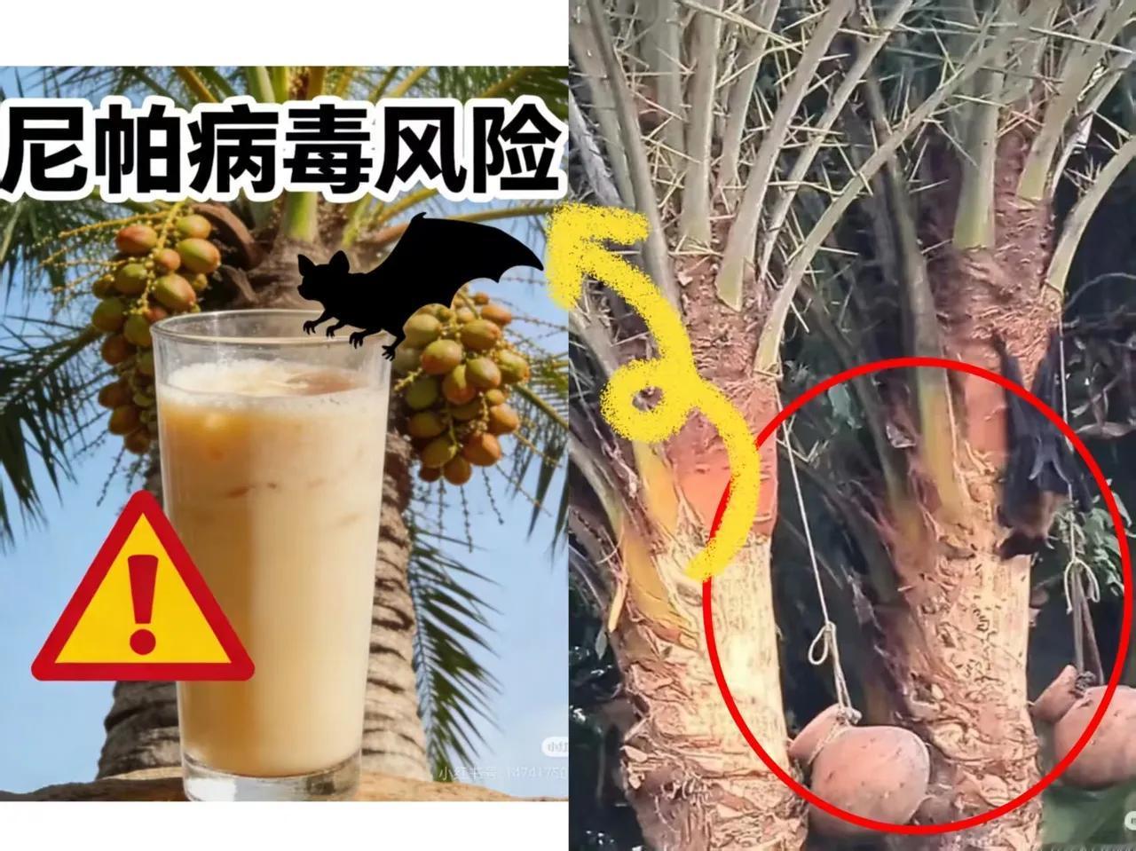 印度的传染病那是迟早的事。
看到这传染病的根源，小编更是把隔夜饭都吐出来了。
这