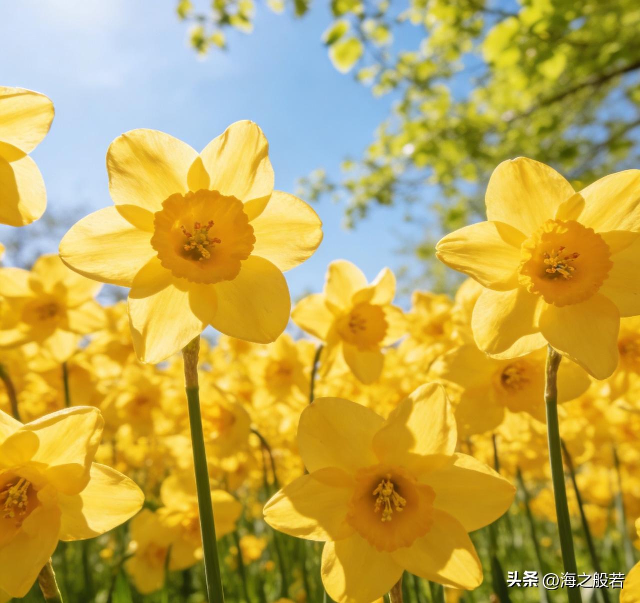 3月15日至16日，北京天气终于放晴了，气温回升，最高气温将在15℃左右，周末可