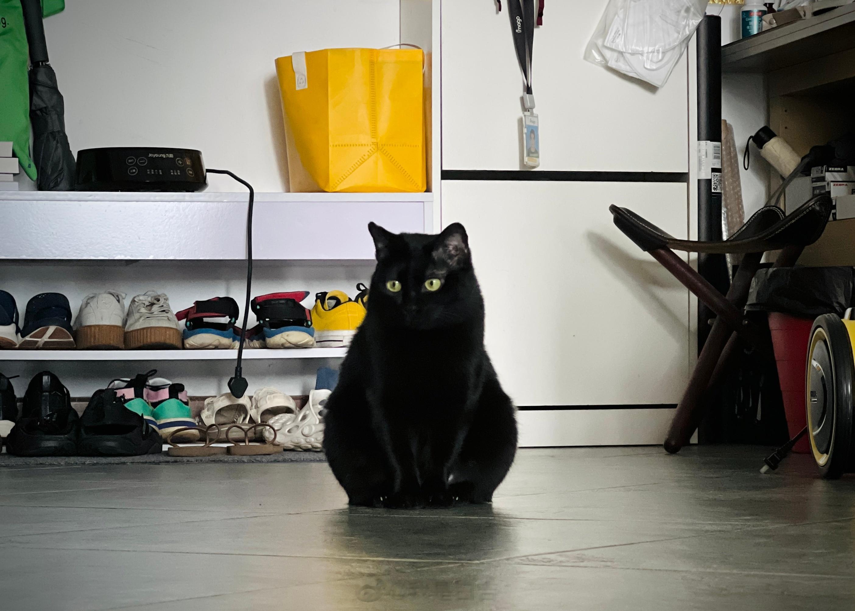 看不到嘴嘴。#蝦蝦不可以太可愛 ​​​