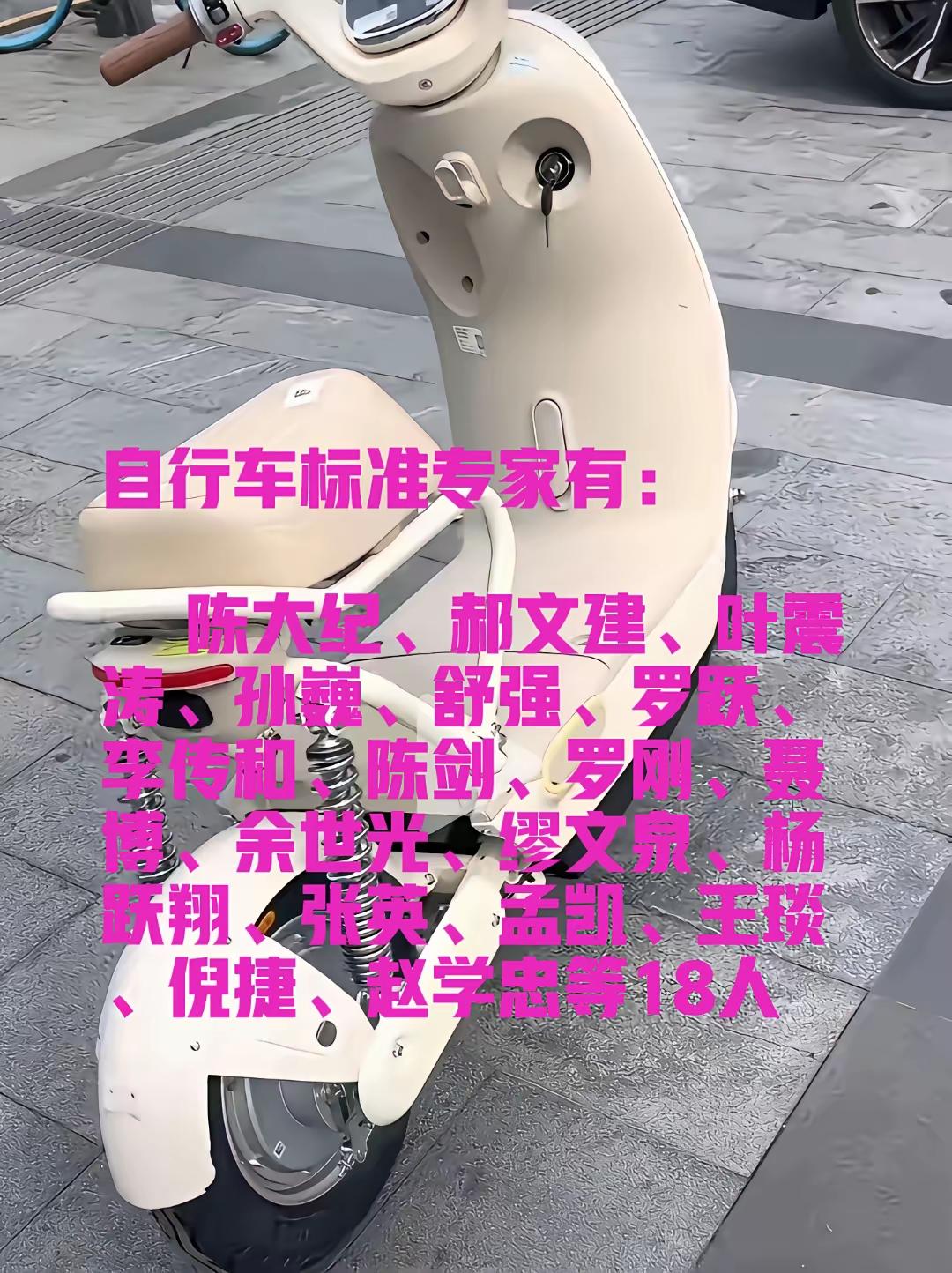 参与电动车标准制定的专家有18位。他们是陈大纪、郝文建、叶震涛、孙巍、舒强、罗跃