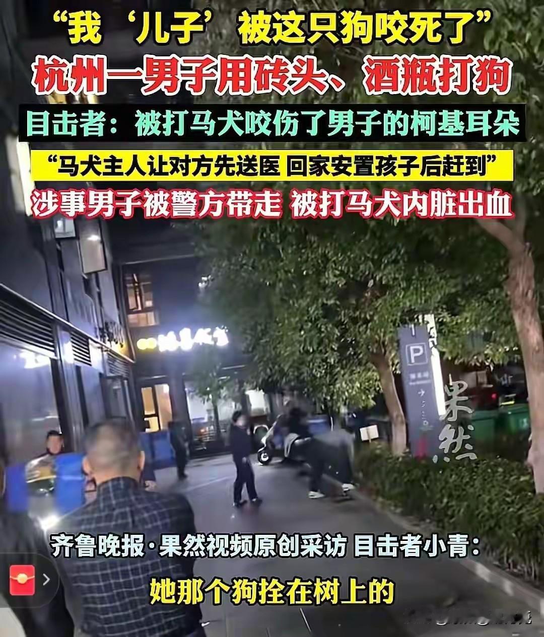 不懂人事的狗，你让人情可以堪？
最近又一个新闻热了友友的眼球。“一只狗主人”的儿