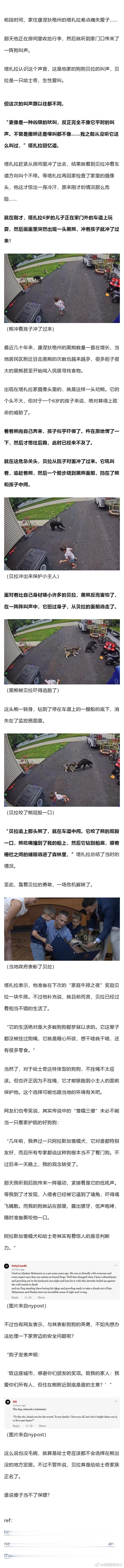 6岁小主人遭黑熊袭击，二哈冲上去一口咬住熊屁股成功保护！谁说它只会拆家的？ 