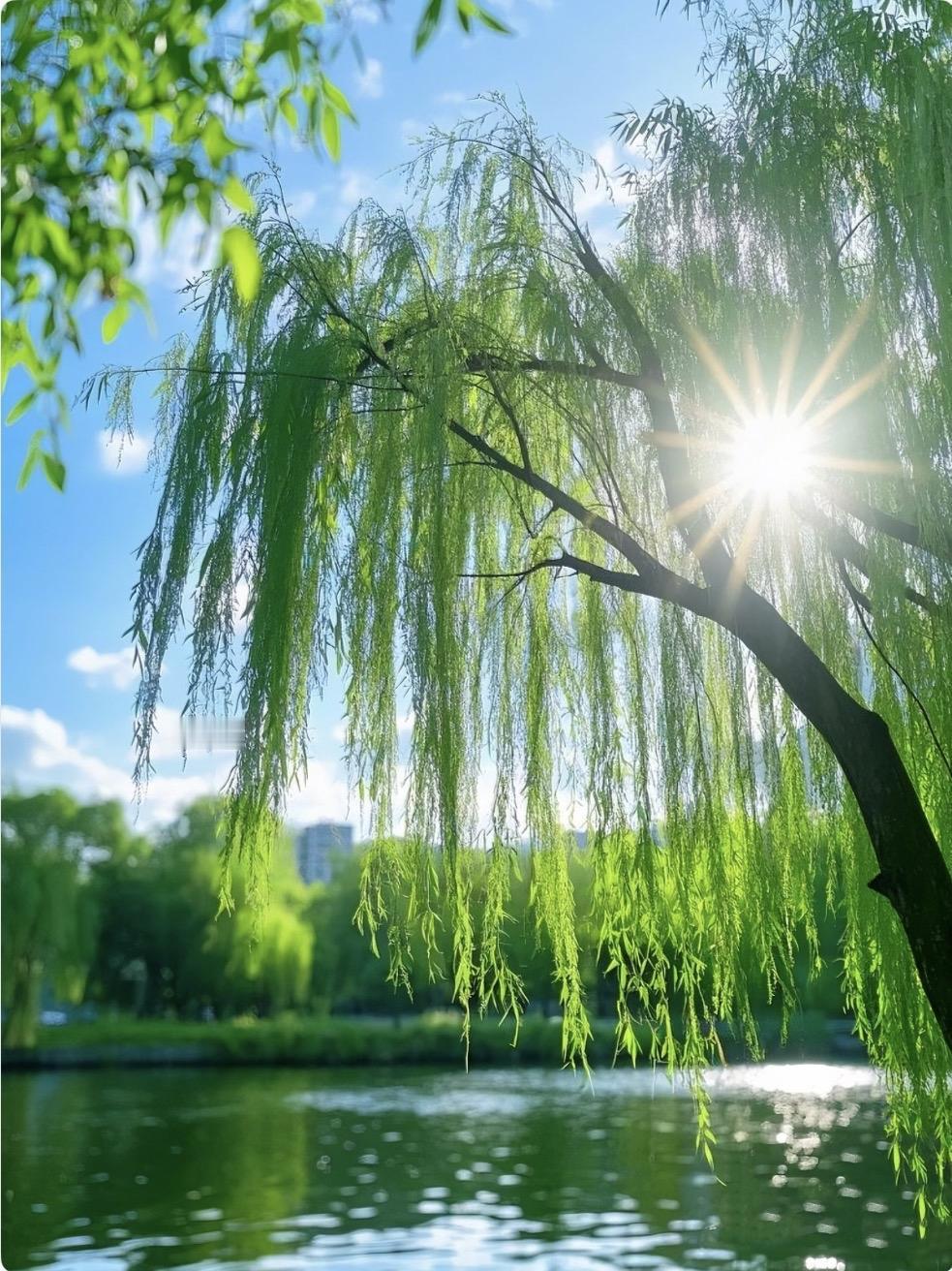 上联：绿柳含烟迎旭日
下联：红莲锁雾送夕阳