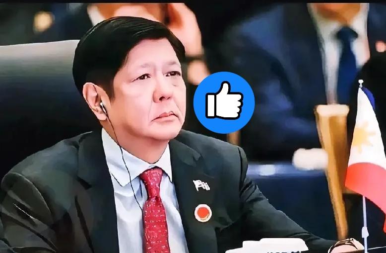 刚刷到中国援助菲律宾的消息，真的被大国格局狠狠打动了！
 
菲律宾接连遭遇强台风