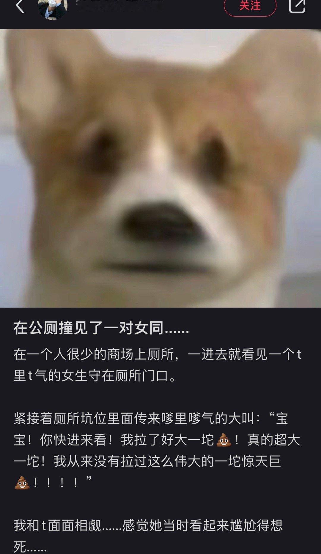 那个t已经扣出三室一厅了吧 ​​​