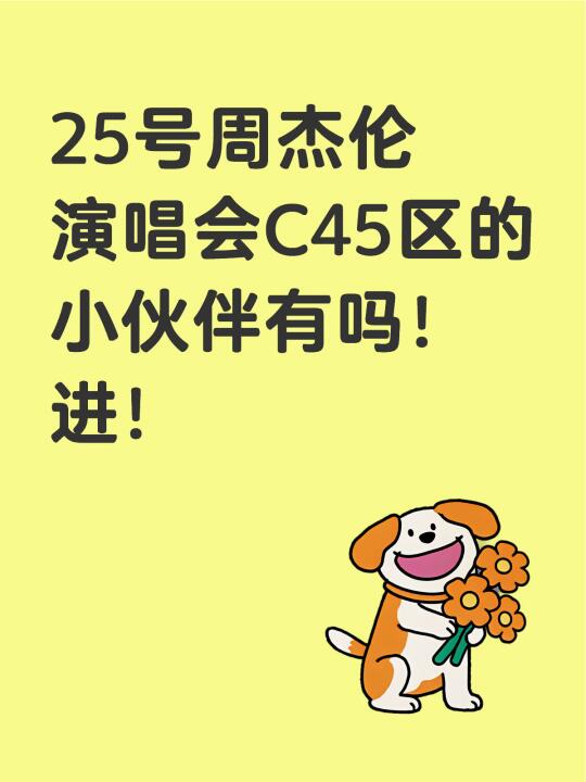周杰伦演唱会