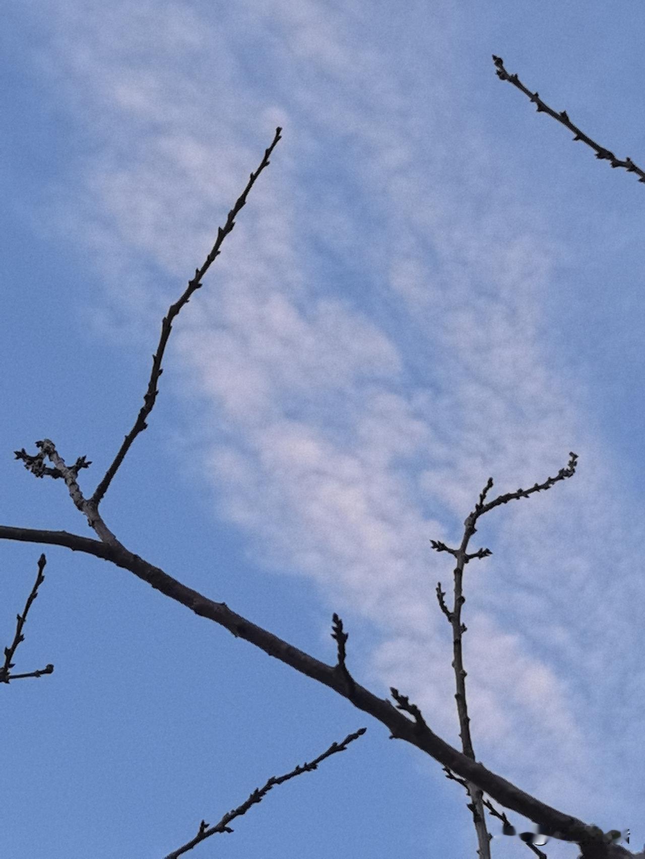 一句话日记

       努力的意义就是：当好运降临在自己身上时，你会觉得“我