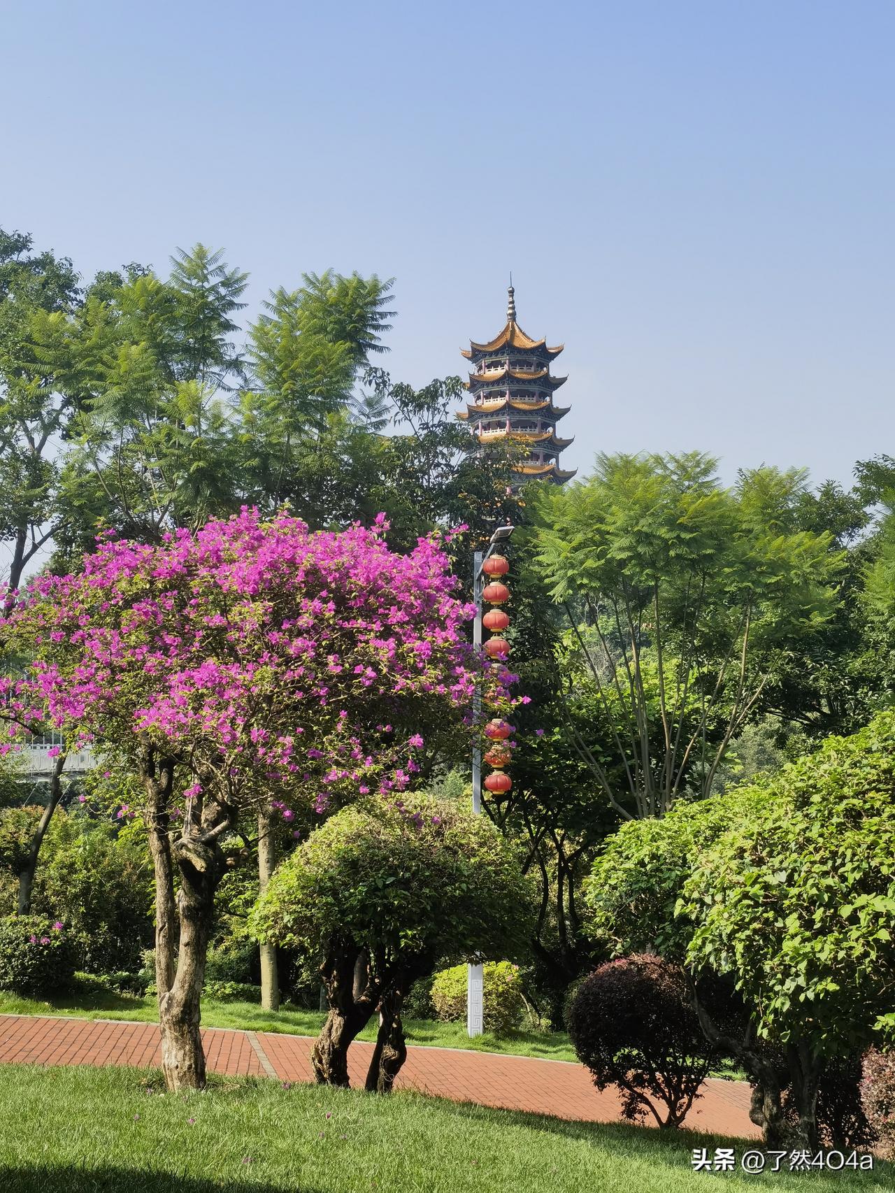 夏日生活打卡季听，晚风正穿过林梢，带着远山的凉意，轻轻叩响你的窗。