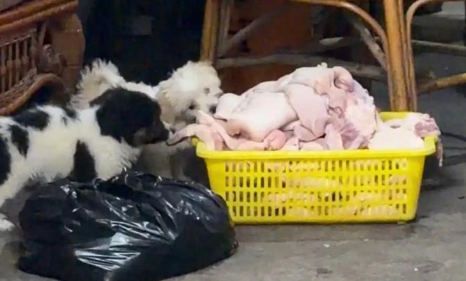 合肥那家七万卤菜店，算是彻底把“网红匠人”这块遮羞布给扯下来了。
 
相信不少网