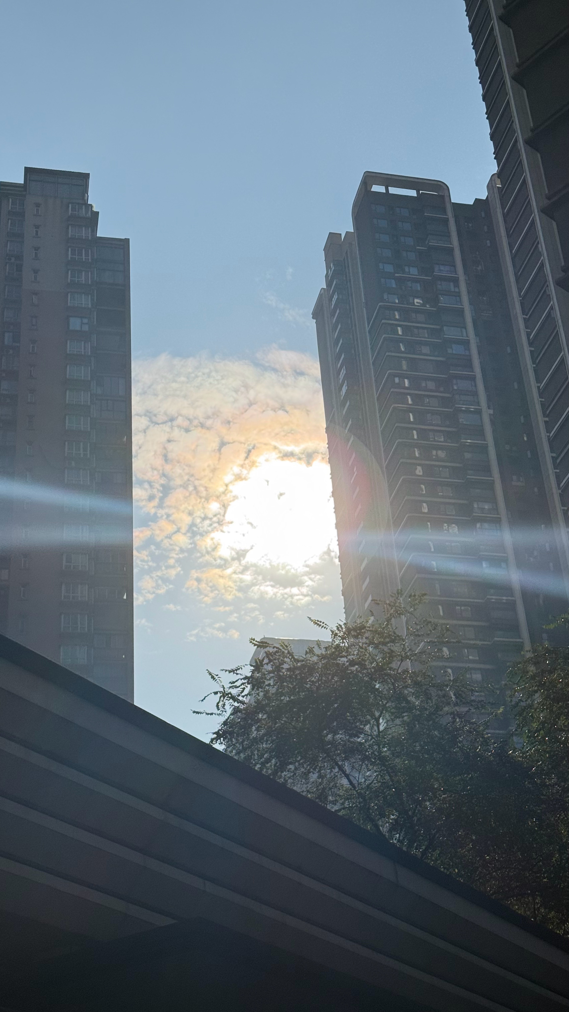 大冬天能有这天气 可太爽了