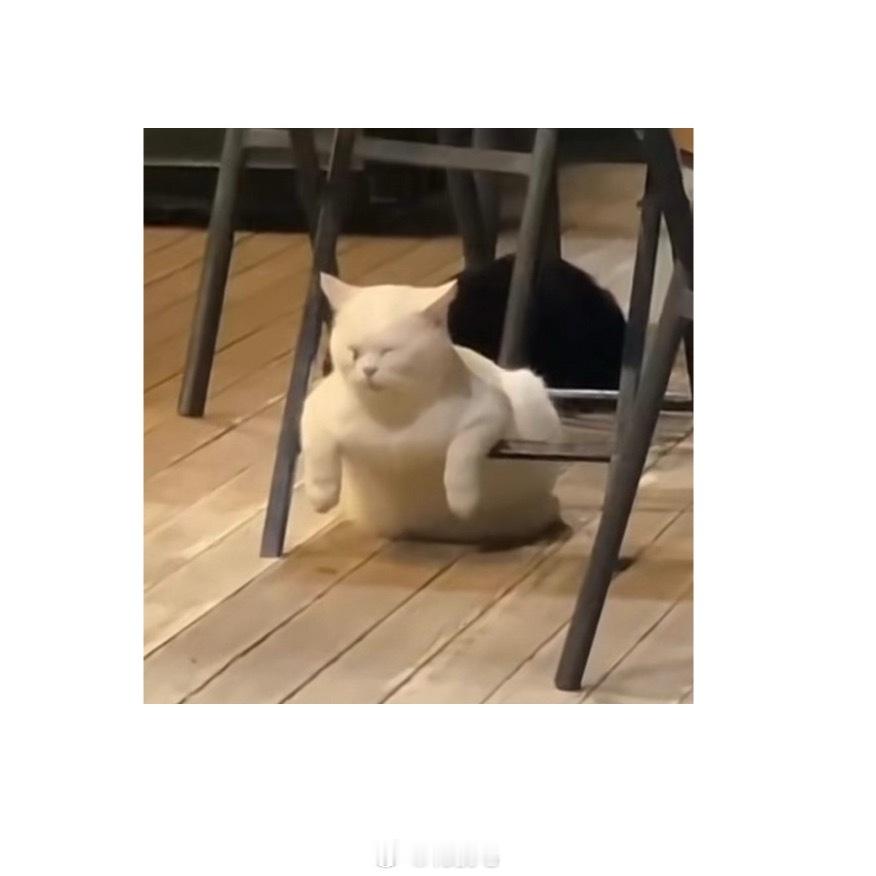 晚饭时间到了，旅蛙说一点都不饿，因为他午睡起来吃了点心我说我们房间还有点心？我怎