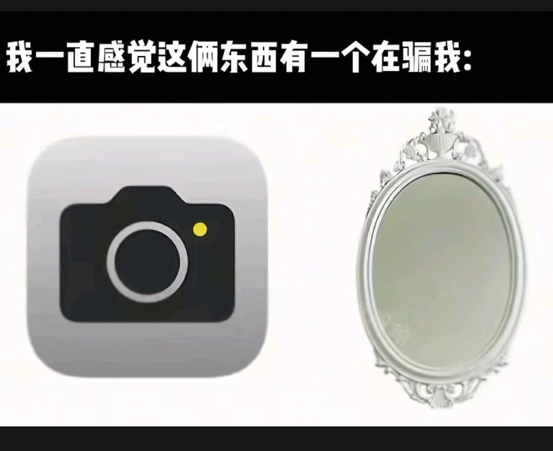 镜子和原相机根本就不是同一个东西 ​​​