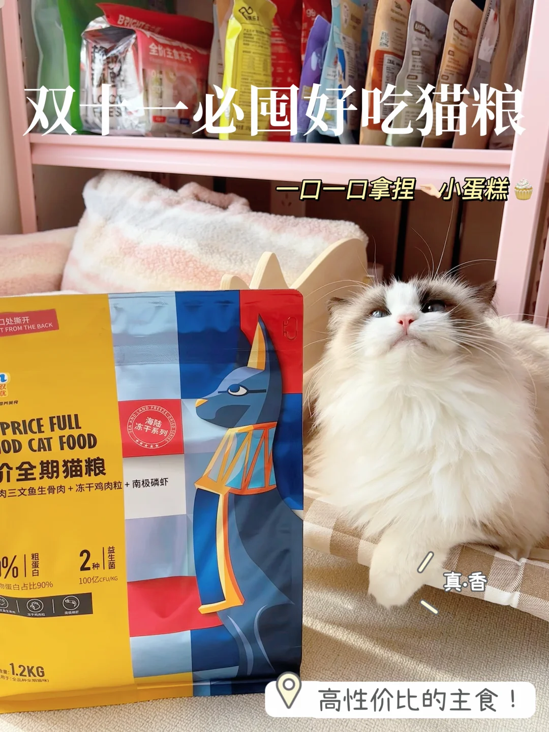 双十一☝🏻波  |  性价比超高的猫粮已收到✅