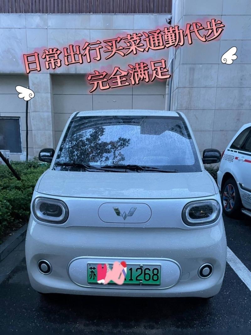 】

宏光MINIEV 2024款215km青春版 磷酸铁锂.

裸车价：4.0