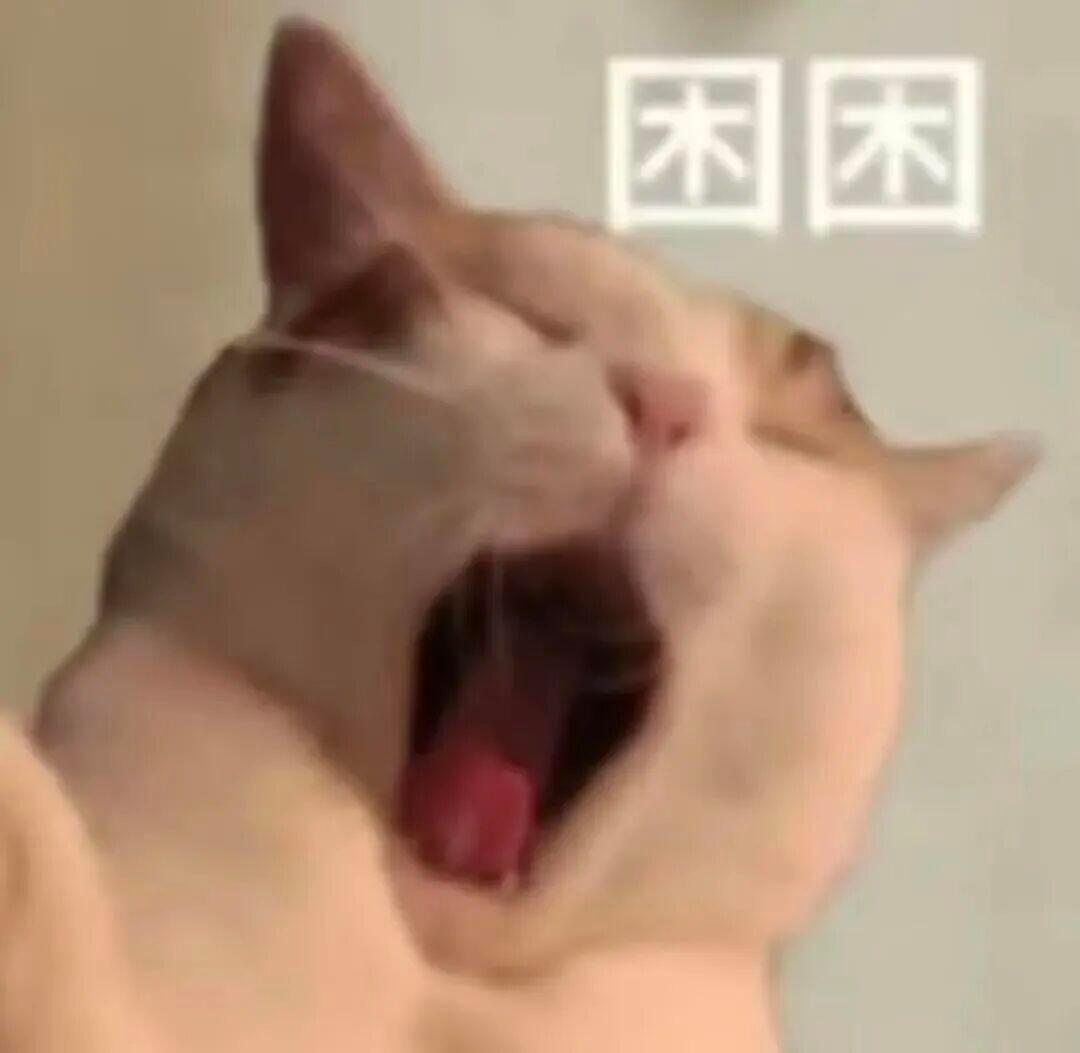 分享一下小猫表情包 ​​​