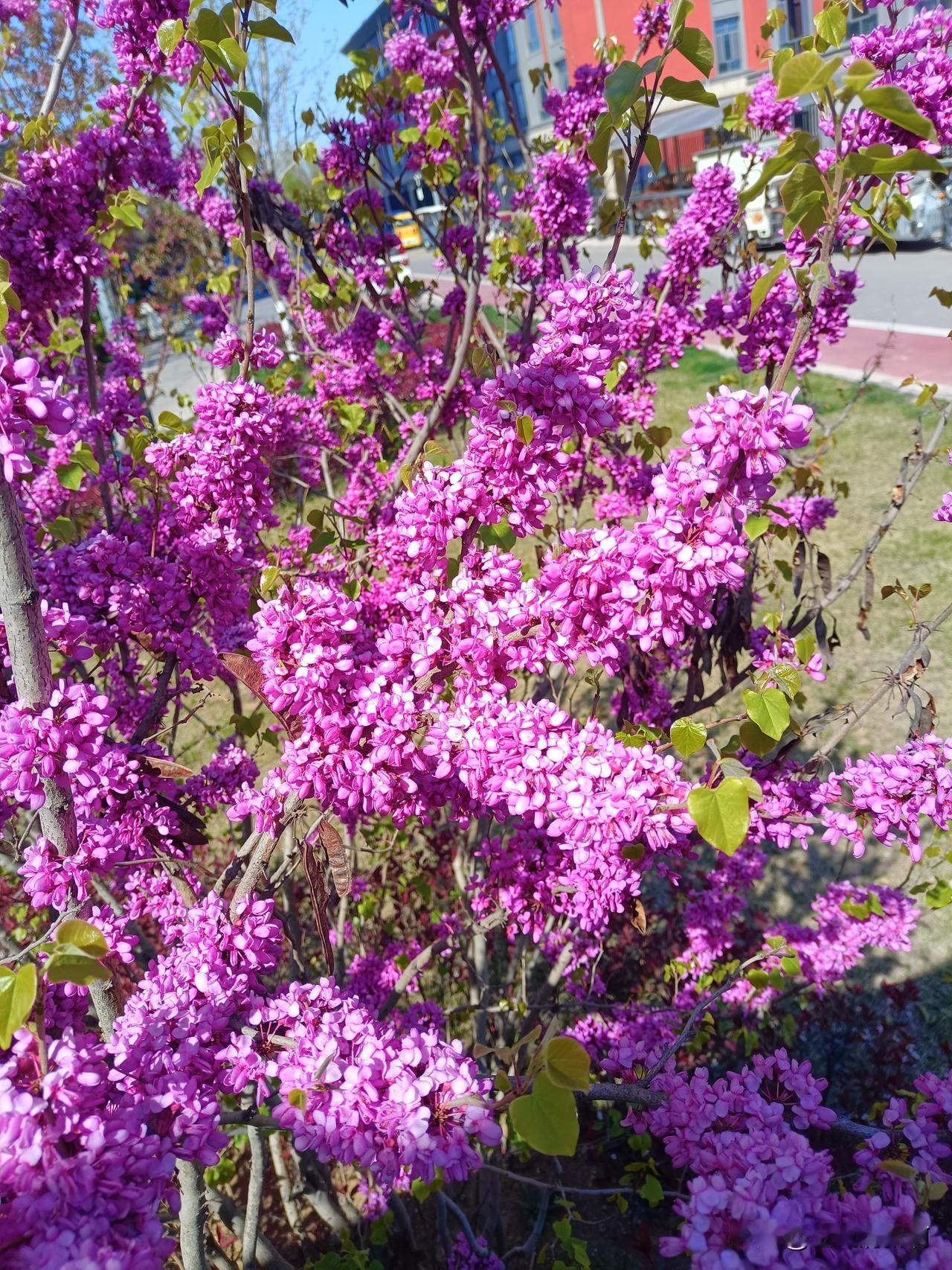 有些人是真看清了。
这几天有一个邻居家孩子结婚，邻居和自己本家的都去帮忙，请了七